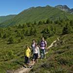 Wanderspaß und Naturgenuss auf dem Meransner Hochplateau